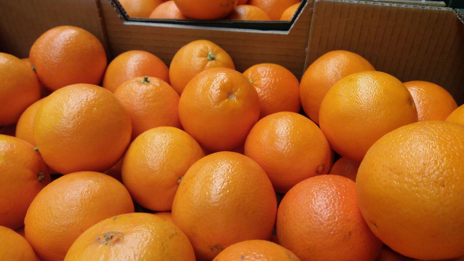 naranja de zumo para maquinas de zumo