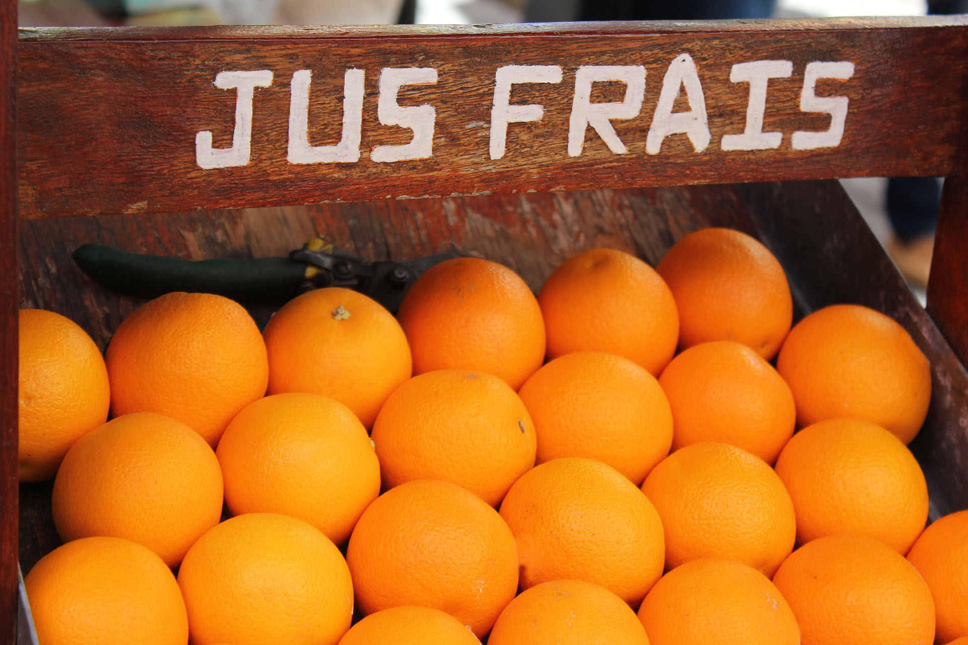 Machine à jus d'orange – Presse-agrumes professionnel à alimentation  automatique pour jus d'orange, fabrication de jus d'orange, pour magasin de  fruits, buffet, restaurant (avec réservoir en : : Cuisine et Maison