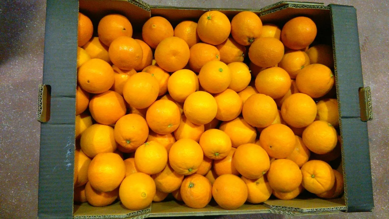 naranja-de-zumo-ecologica