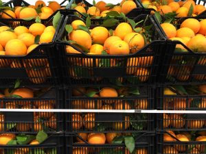 oranges without post-harvest treatment