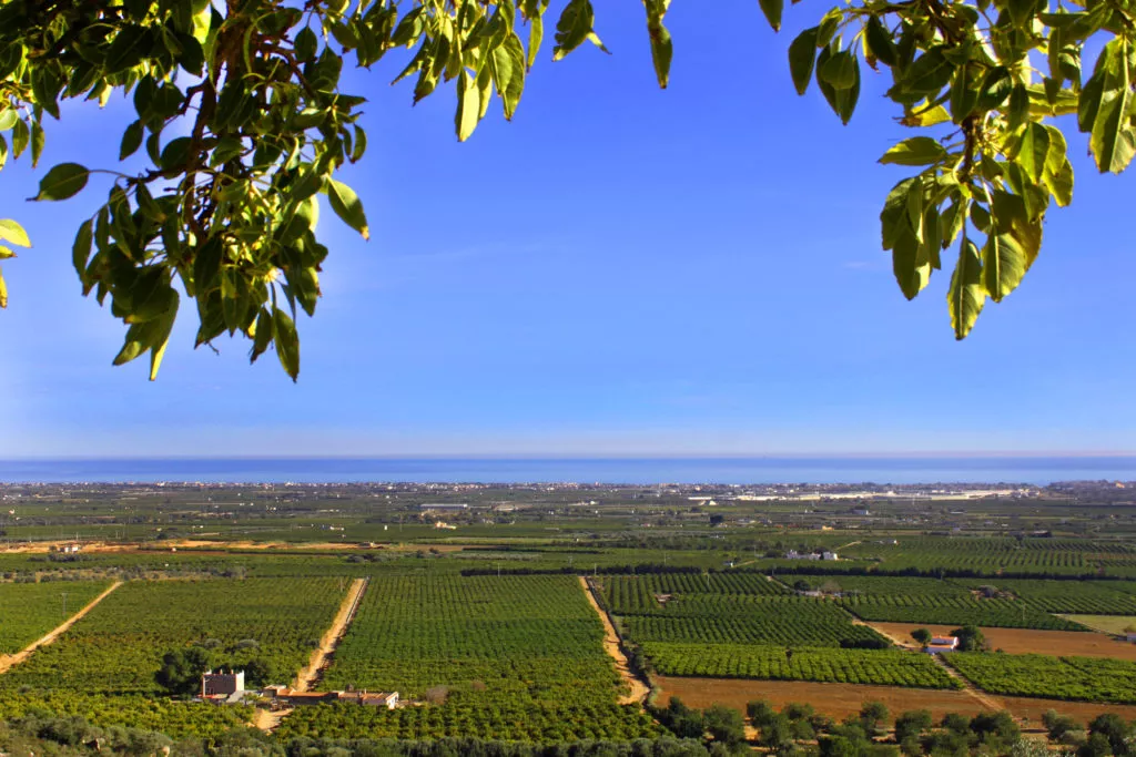 agriculture-espagne