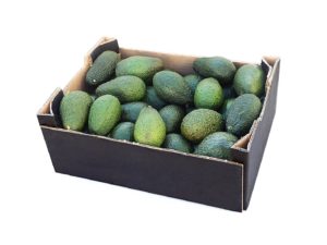 The avocado by Frutéate® (P14)