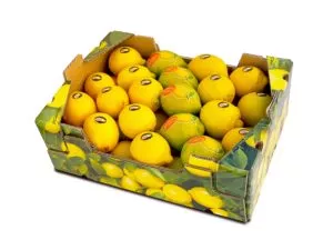 El limón by Frutéate® (P17)