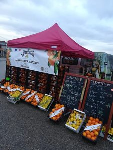 Read more about the article Pourquoi Vendre des Oranges d’Espagne en France?