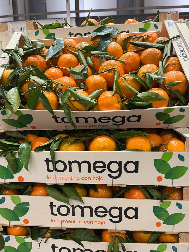 courtage-fruits-et-légumes-agrumes-tomega-fruteate-spain
