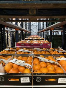 Read more about the article Grossiste de Fruits et Légumes