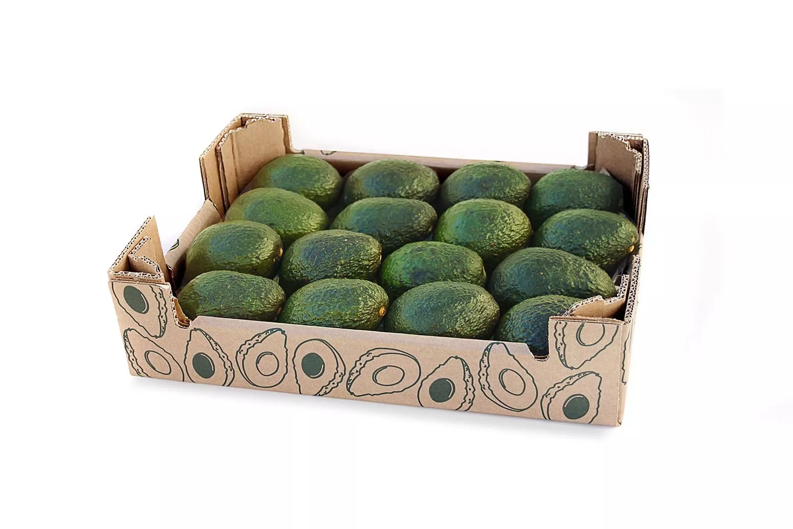 Distribucion-Frutas-Y-Verduras-Frutéate®-Courtage
