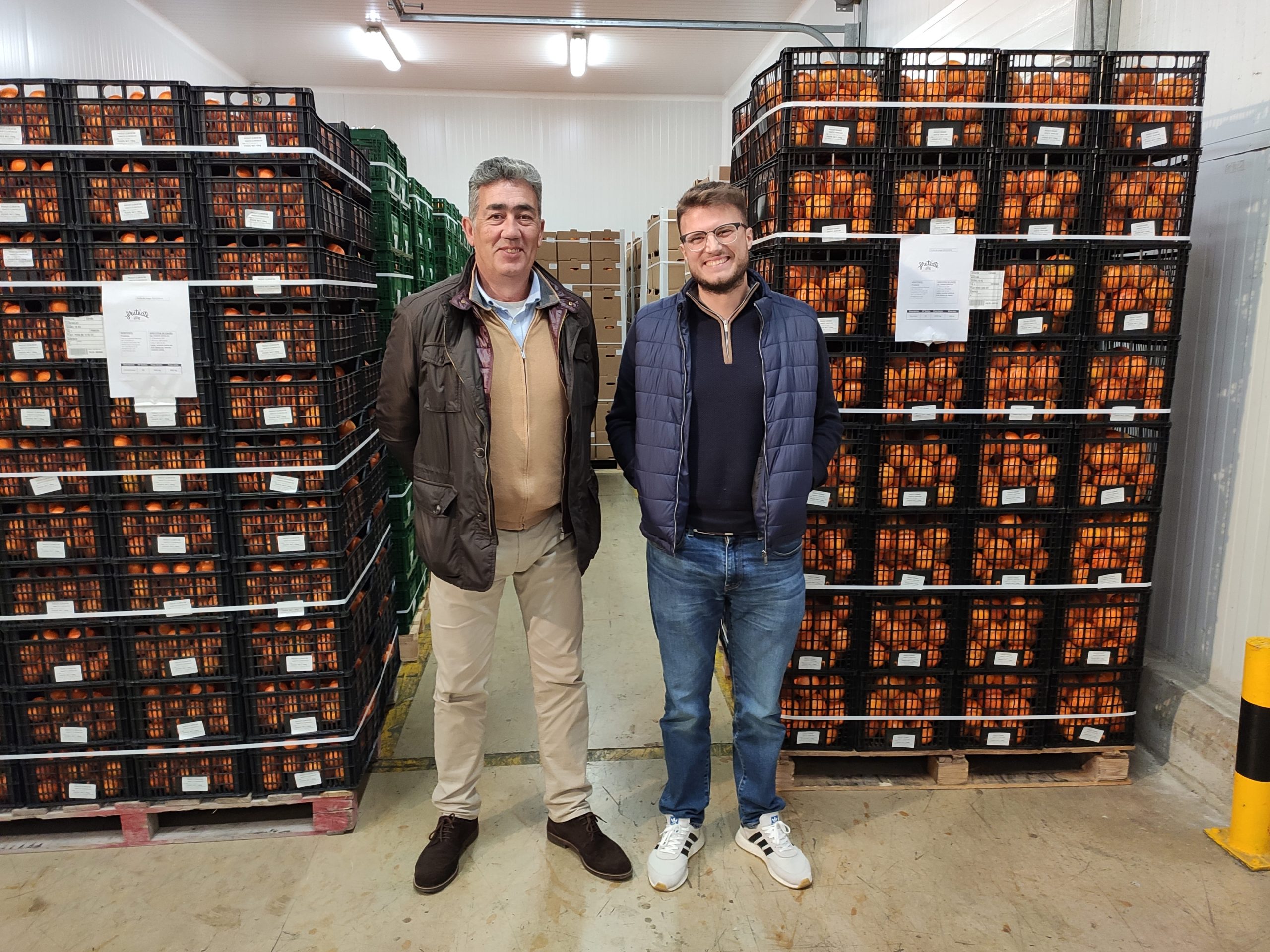 Wholesale citrus fruits supplier