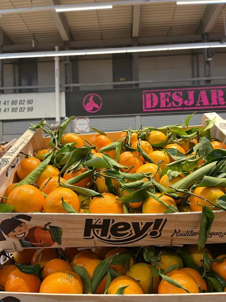 clementina-marca-hey-de-tomega-desjardins-rungis