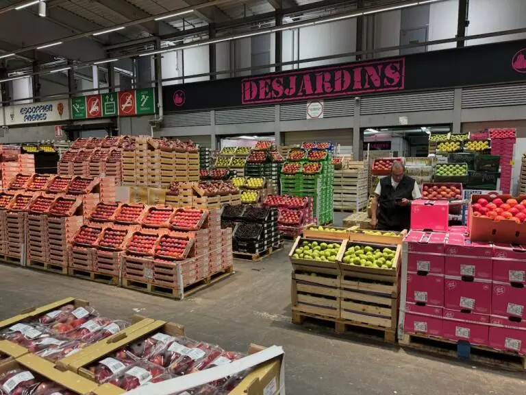 exportar-frutas-a-francia