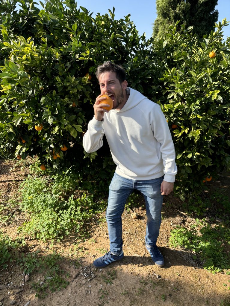 finca-naranjas-navelina-fos-be-fruit-spain-antella-comunidad-valenciana
