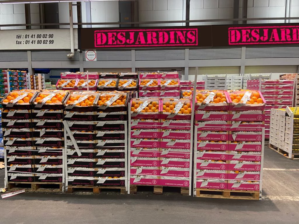 naranjas-desjardins-by-fruteate-parada-desjardins-mercado-de-rungis