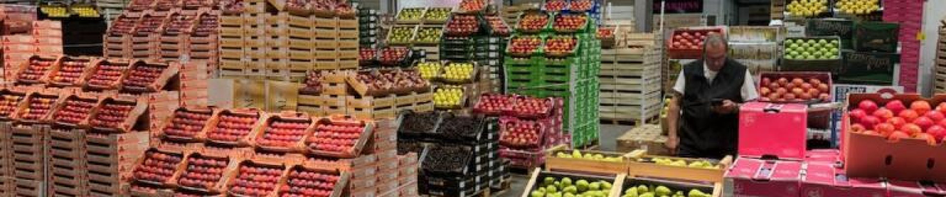 exportar-frutas-a-francia